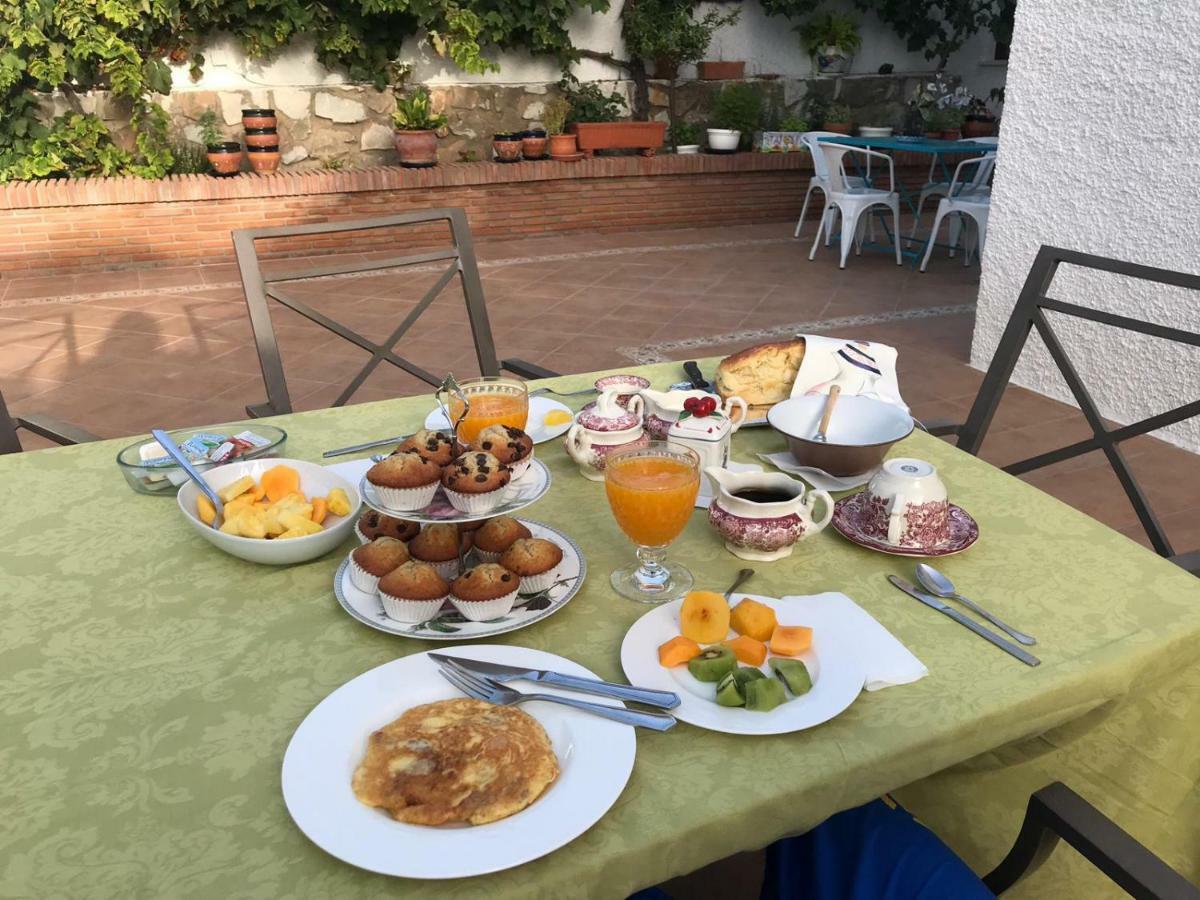 Villa Tocororo En Pinos De Alhaurin Alhaurín de la Torre Εξωτερικό φωτογραφία